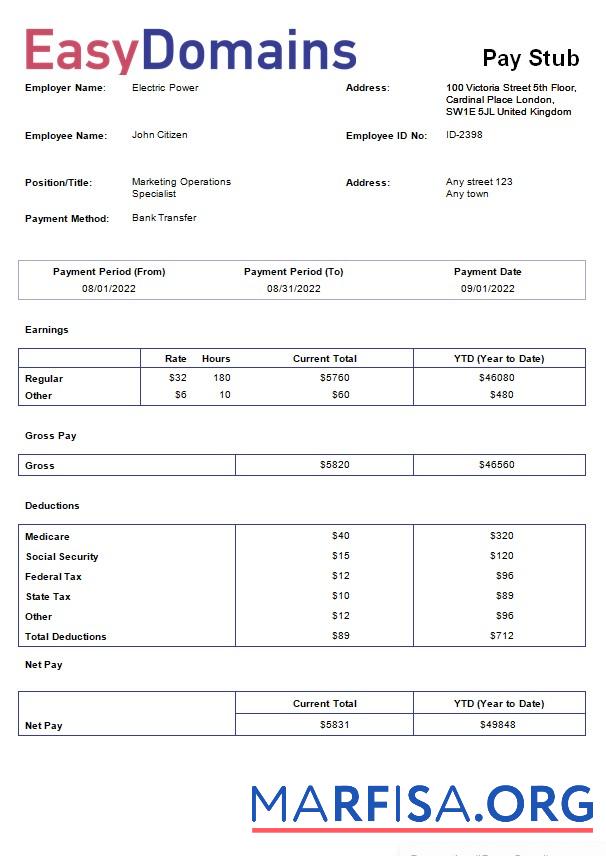 Printable Domain name registration company payslip example